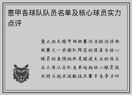 意甲各球队队员名单及核心球员实力点评