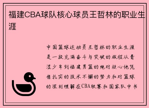 福建CBA球队核心球员王哲林的职业生涯