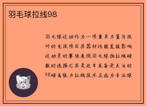 羽毛球拉线98